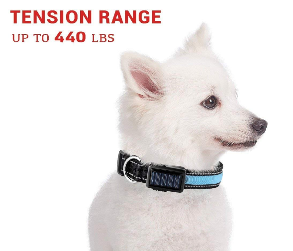 USB and Solar Charge Reflective Led Dog Collar - Castle Anna