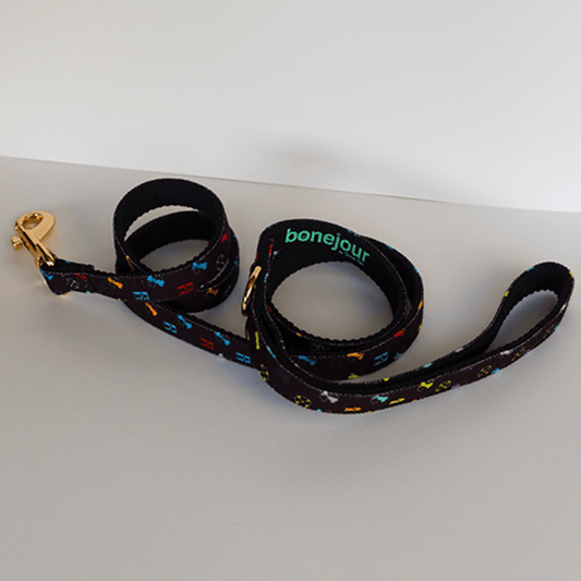 Eco-Chic Petite Leash by Green Pet - Castle Anna