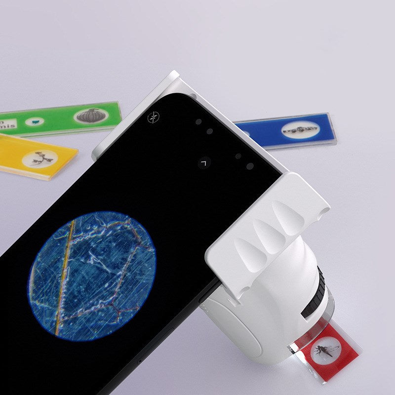 Children's Toy Portable Mini Microscope - Castle Anna