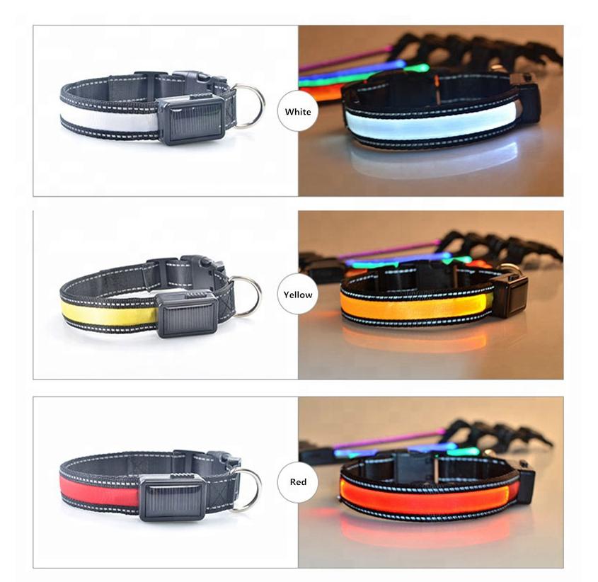 USB and Solar Charge Reflective Led Dog Collar - Castle Anna