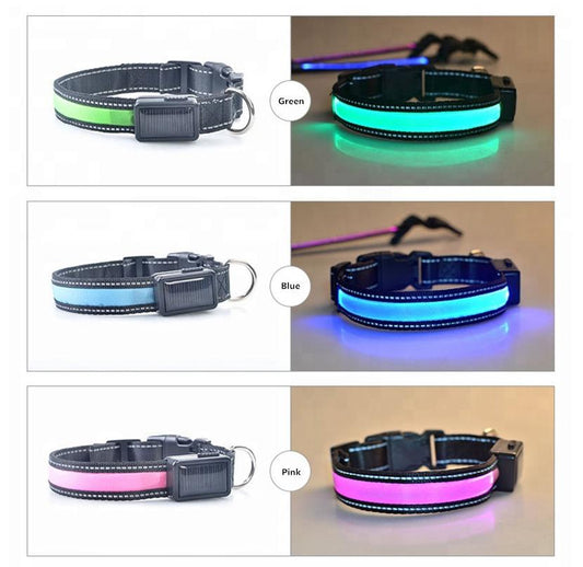 USB and Solar Charge Reflective Led Dog Collar - Castle Anna