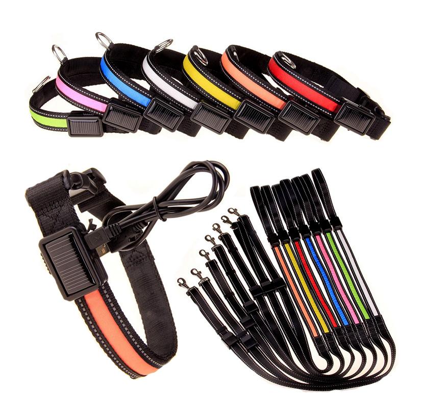 USB and Solar Charge Reflective Led Dog Collar - Castle Anna