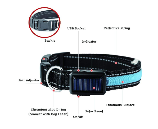 USB and Solar Charge Reflective Led Dog Collar - Castle Anna