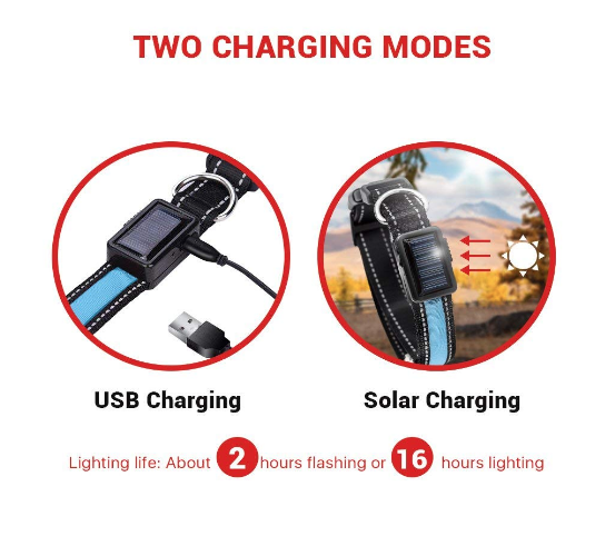 USB and Solar Charge Reflective Led Dog Collar - Castle Anna