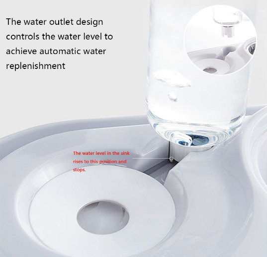 Stainless Steel Pet Bowls with Automatic Water Bottle - Castle Anna