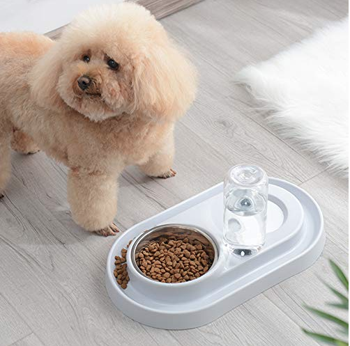 Stainless Steel Pet Bowls with Automatic Water Bottle - Castle Anna