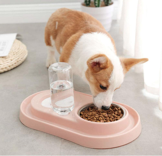 Stainless Steel Pet Bowls with Automatic Water Bottle - Castle Anna