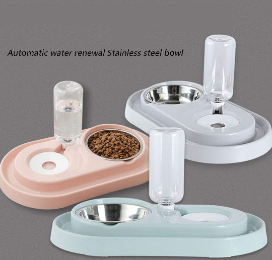 Stainless Steel Pet Bowls with Automatic Water Bottle - Castle Anna