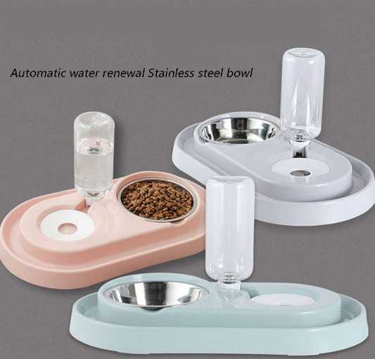 Stainless Steel Pet Bowls with Automatic Water Bottle - Castle Anna