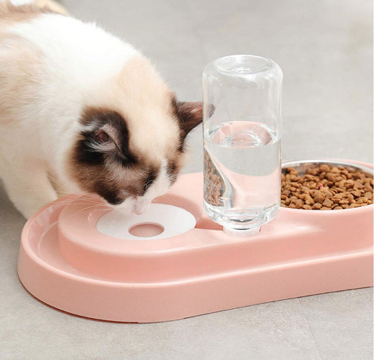 Stainless Steel Pet Bowls with Automatic Water Bottle - Castle Anna